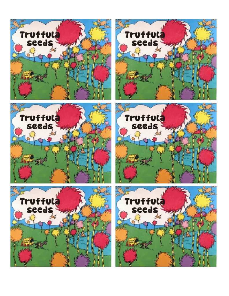 truffula-seed-lorax-themed-kids-party-pinterest