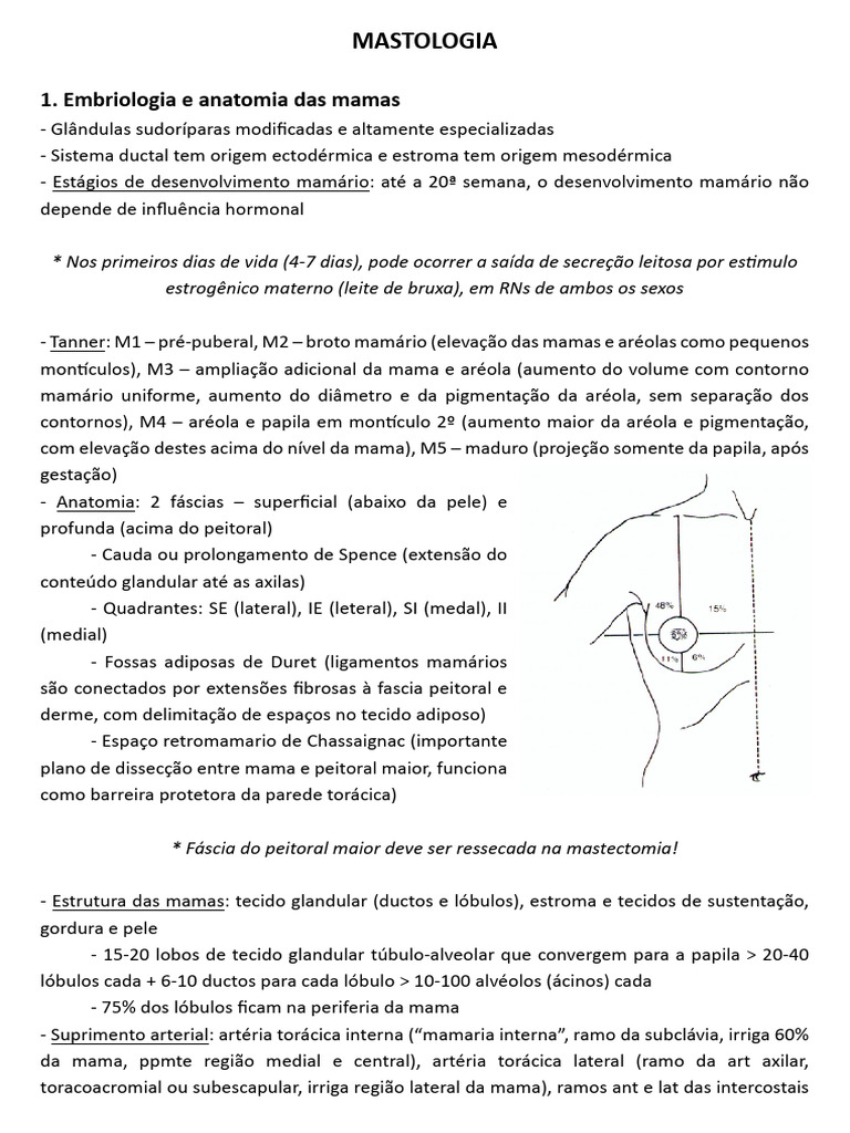 Anatomia e Fisiologia das Mamas | PDF | Seio | Especialidades médicas
