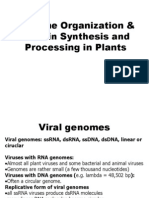 Genome Organization & Protein Synthesis and Processing in Plants