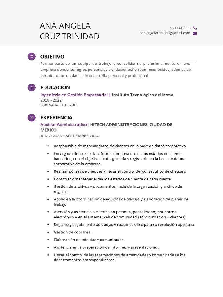 Perfil Profesional de Ana Angela Cruz | PDF | Planificación de recursos ...