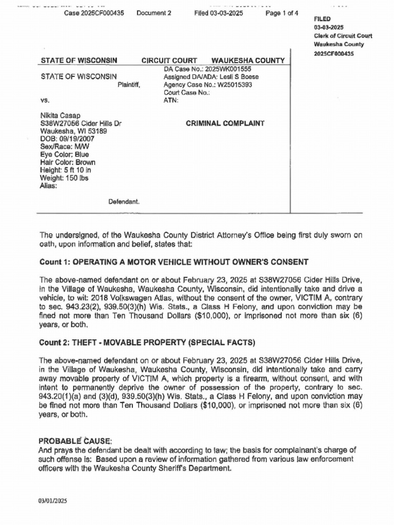 Nikita Casap Criminal Complaint Summary | PDF | Wisconsin Circuit ...