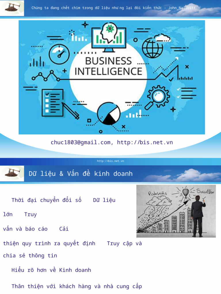 BusinessIntelligence BI | PDF
