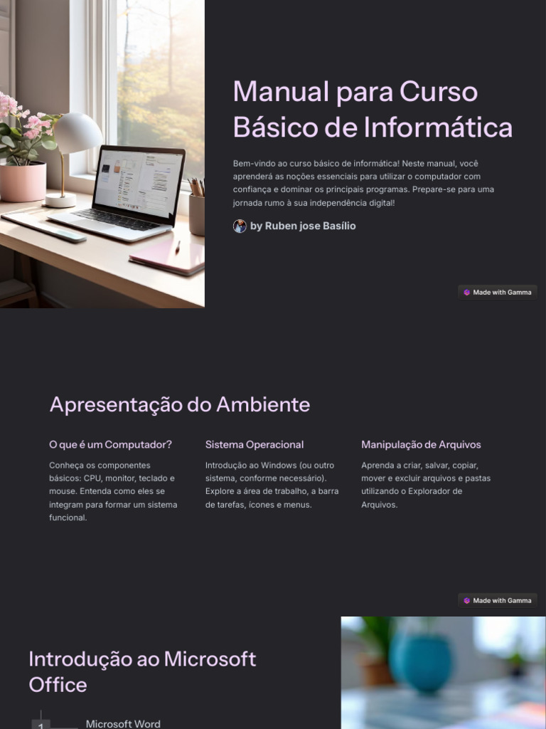 Curso Básico de Informática para Iniciantes | PDF | Microsoft | Internet