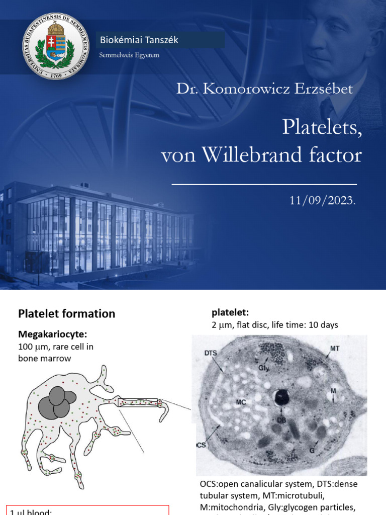 03_Platelets and von Willebrand factor | PDF | Platelet | Thrombosis