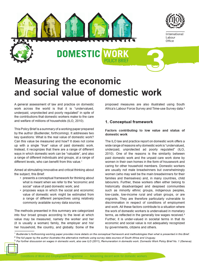 Measuring Value of Domestic Work | PDF | Domestic Worker | Employment