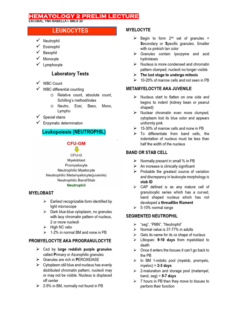 Hematology Lecture on Leukocytes | PDF | Lymphocyte | White Blood Cell