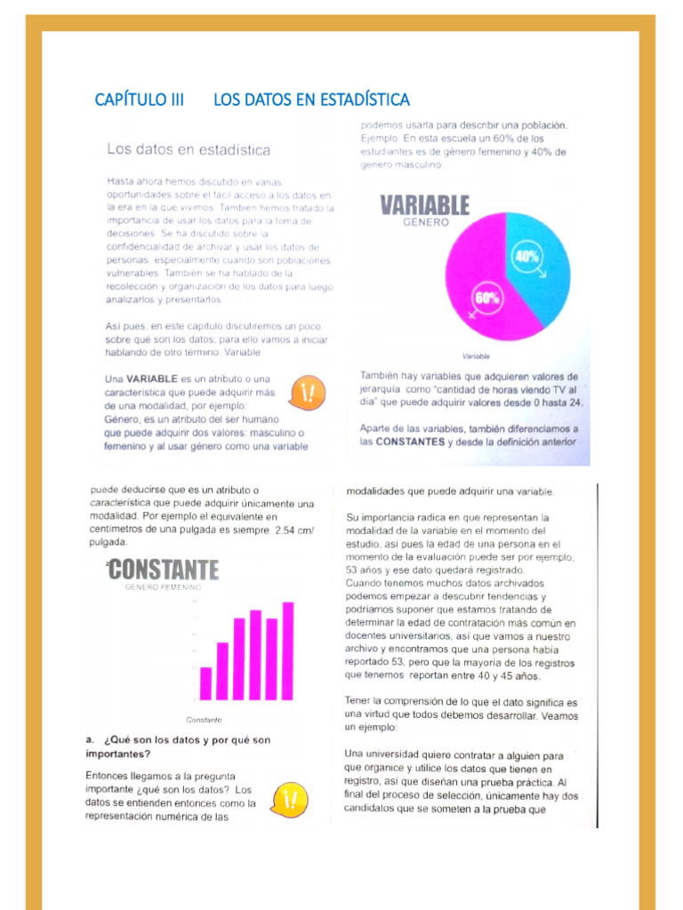 Capitulo III | PDF