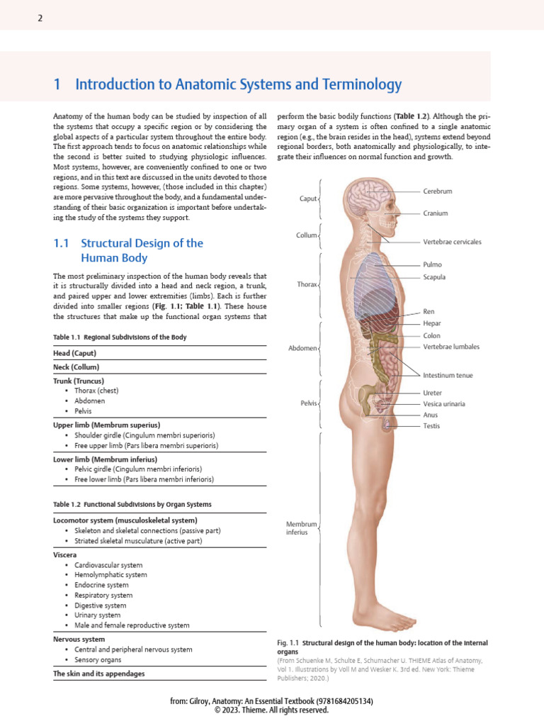 Human Body Anatomy Overview | PDF | Integumentary System | Connective ...