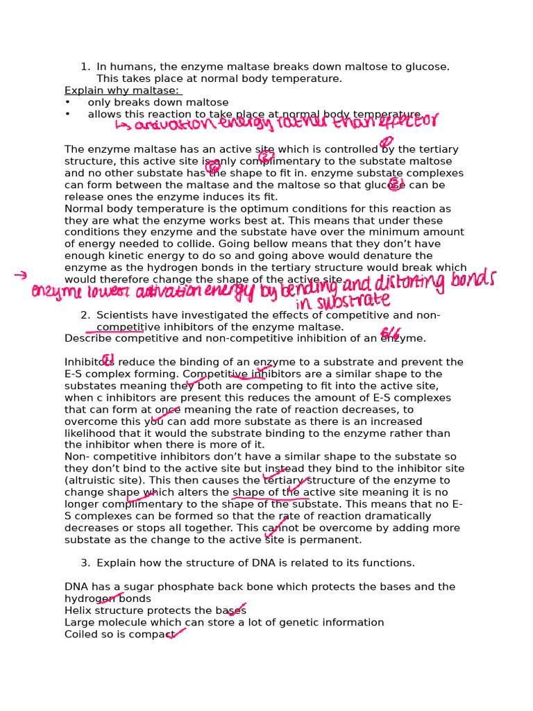 Extended Questions Unit 1 | PDF | Active Site | Dna