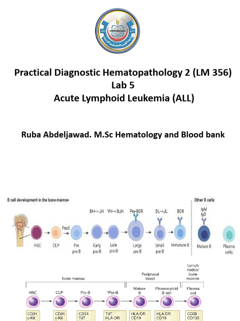 Hematopathology Lab: ALL Analysis | PDF
