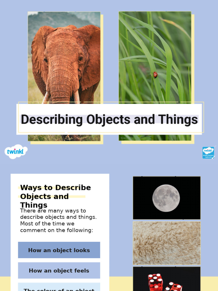 Describing Objects and Things | PDF