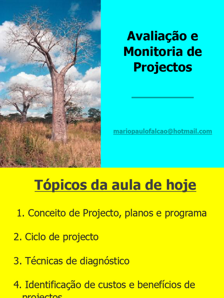 Avaliação e Monitoramento de Projetos | PDF | Economia | Custo