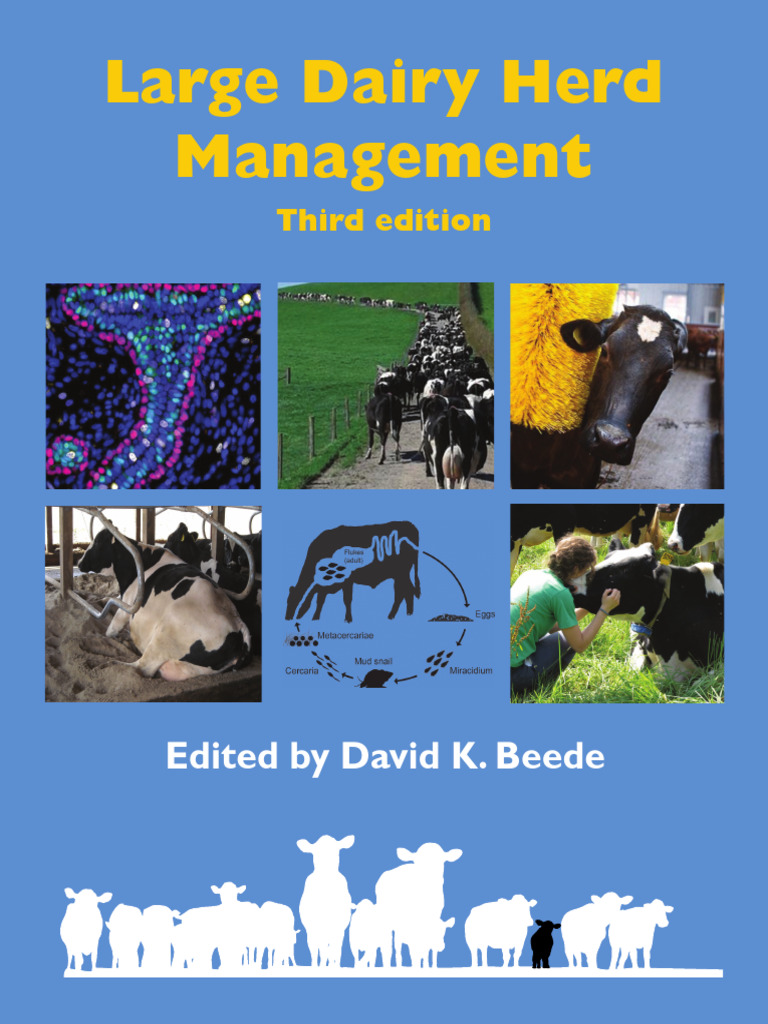 Large Dairy Herd Management - Livro | PDF | Dairy Cattle | Dairy