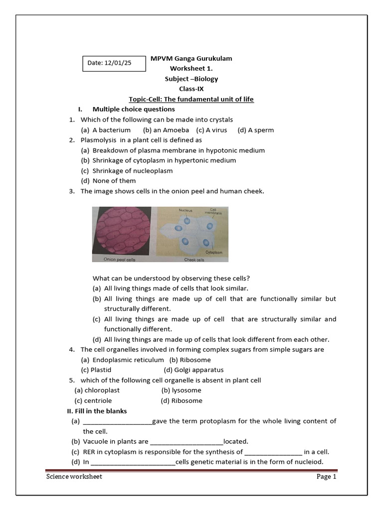 Science Worksheet Final | PDF | Atoms | Sound