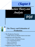 Production Theory and Analysis