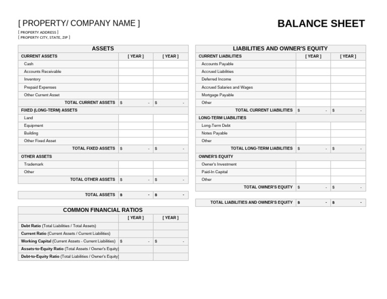 Property Balance Sheet Overview | PDF | Equity (Finance) | Balance Sheet