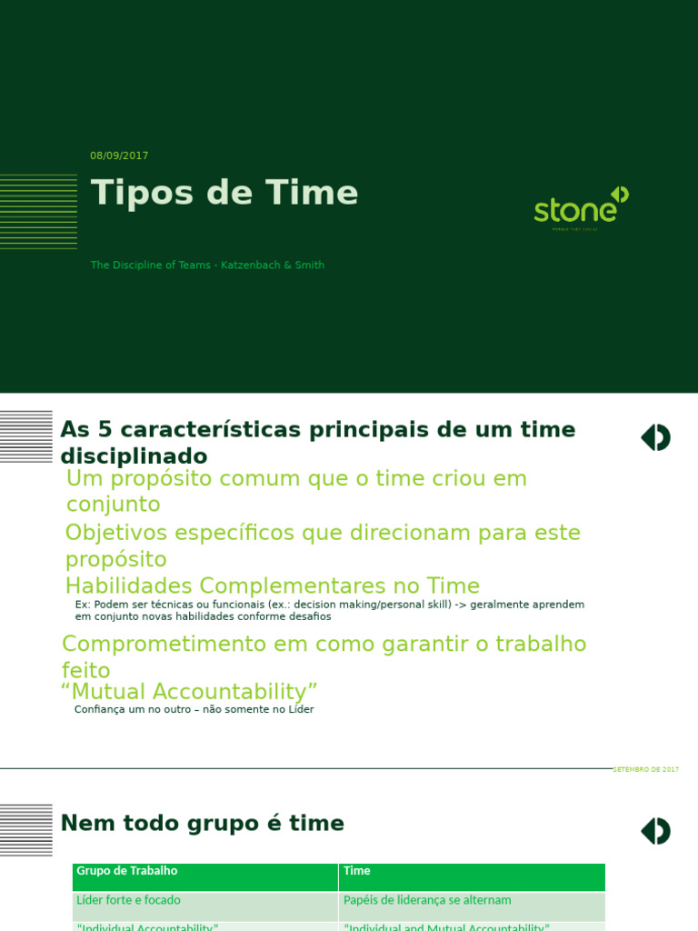 Tipos de Times e Suas Características | PDF | Liderança