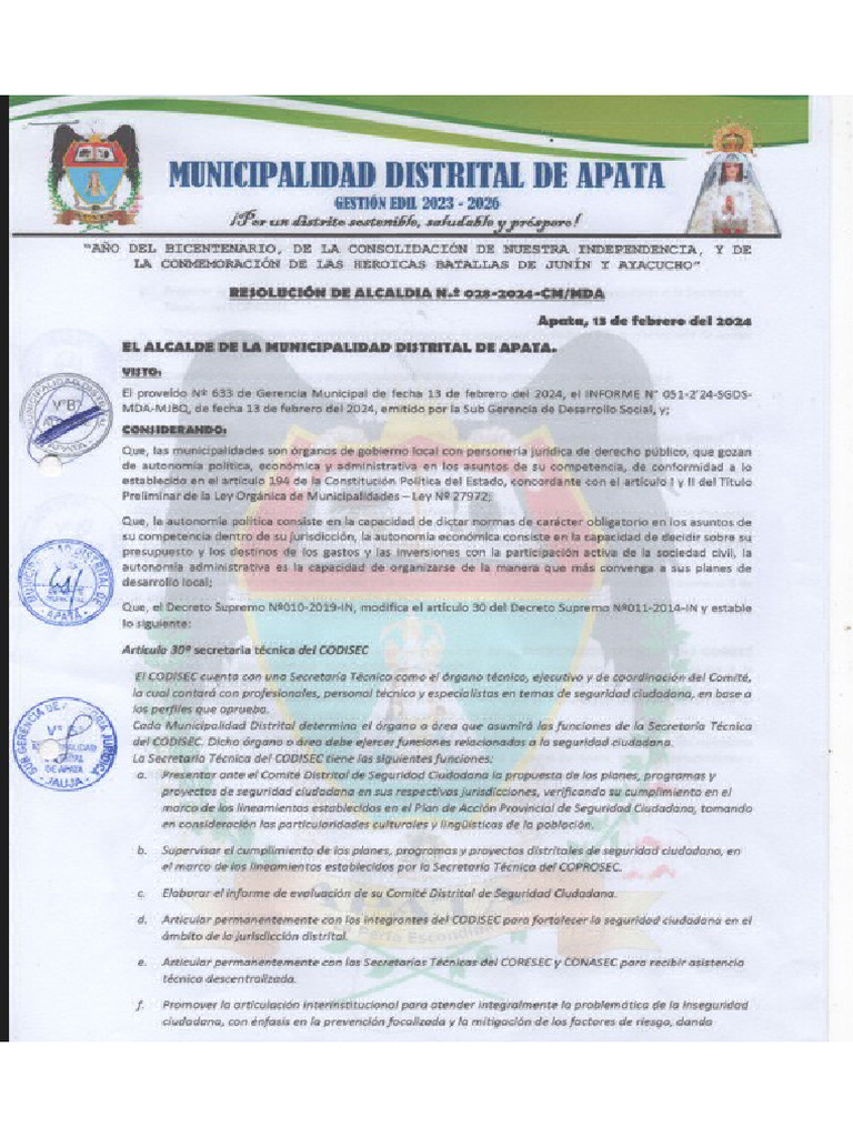 Rosolucion Nº28 - Designacion de La ST Codisec | PDF