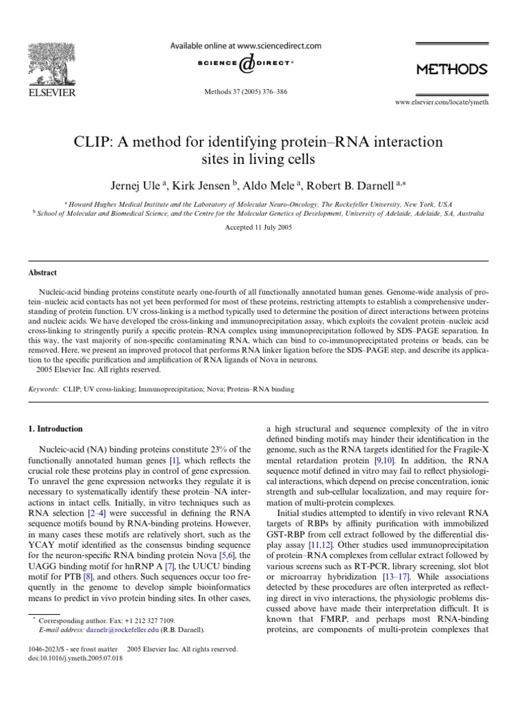 CLIP Method for Protein-RNA Interaction Analysis | PDF ...