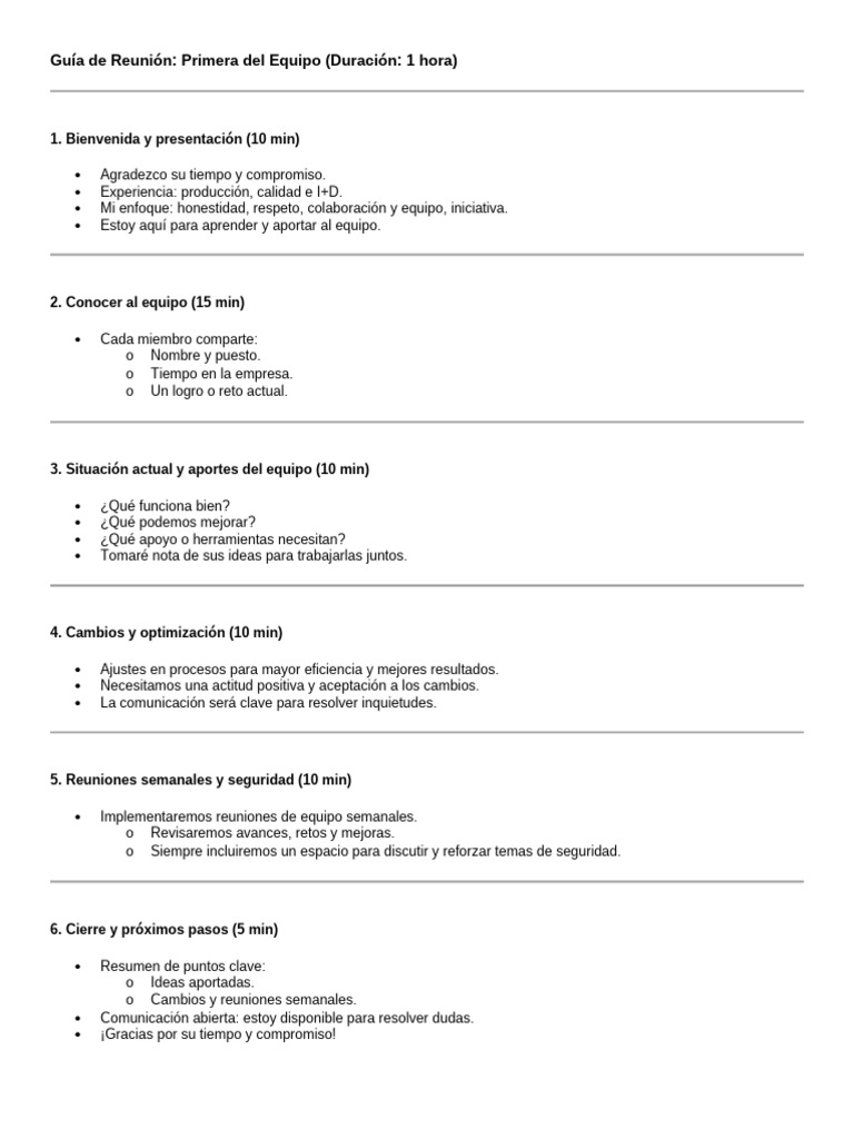 Guía para la Primera Reunión de Equipo | PDF
