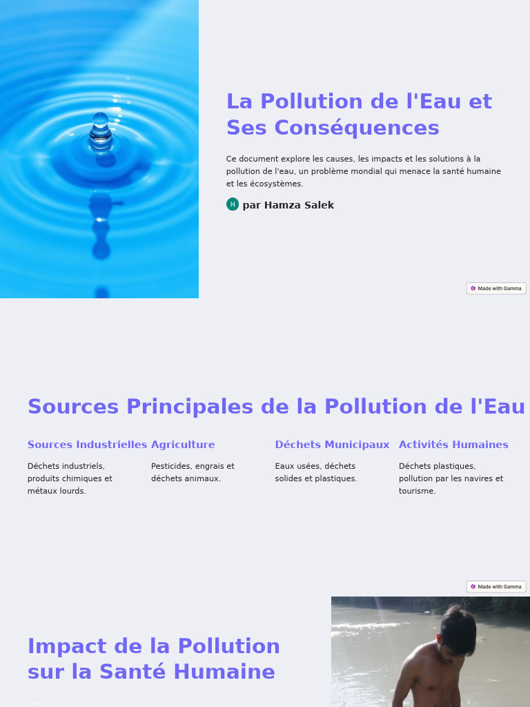 Pollution de l'Eau : Causes et Solutions | PDF