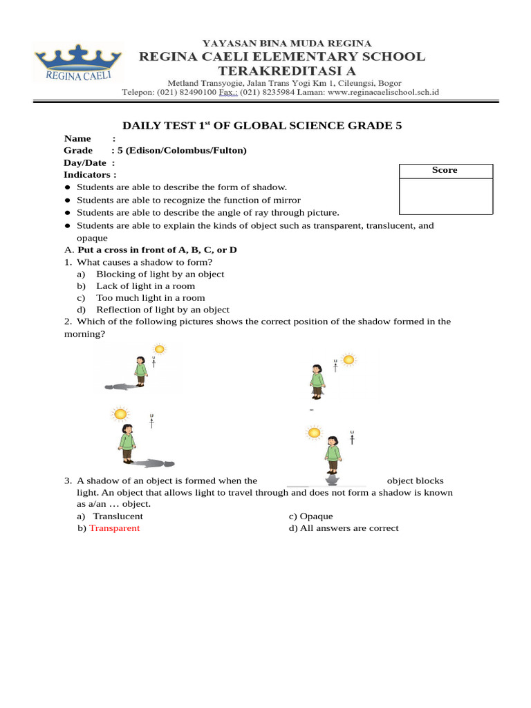 Grade 5 Global Science Daily Test | PDF | Shadow | Puppets