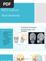 Skull Xray Views Chart | PDF