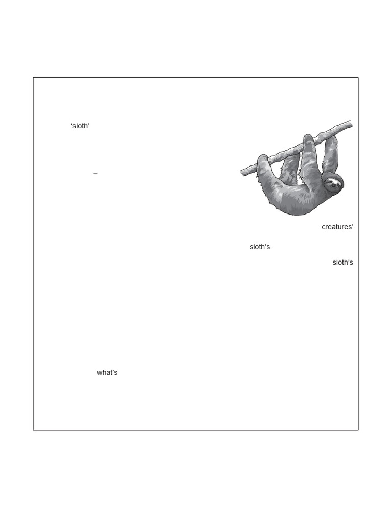 Sloth Adaptations and Behavior Explained | PDF | Fur | Zoology