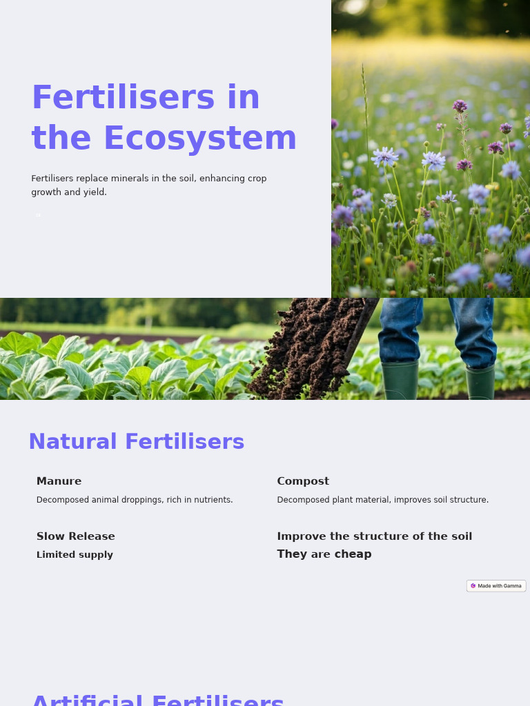 Fertilisers in The Ecosystem | PDF