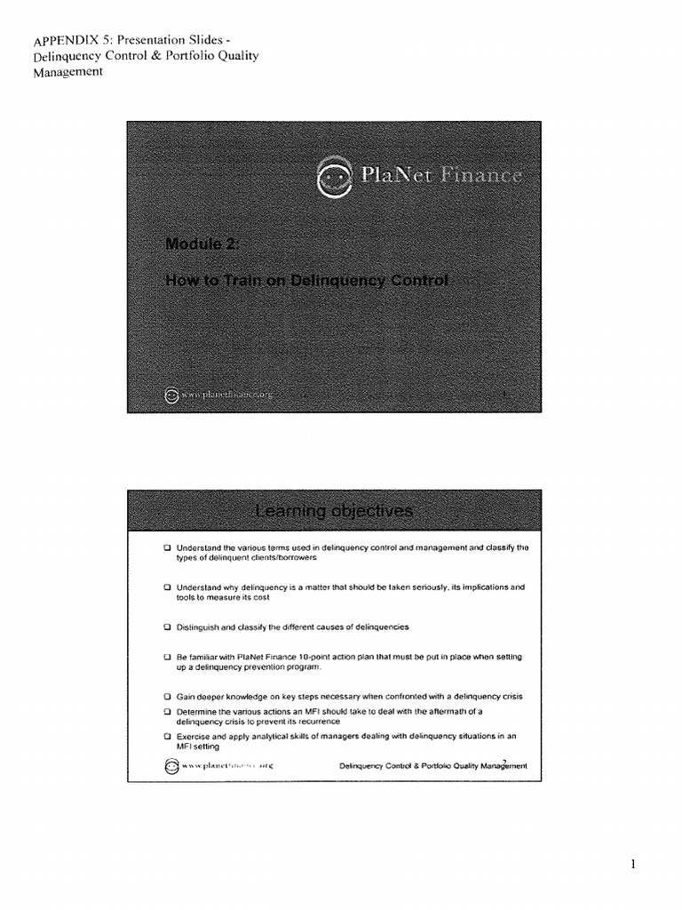 Delinquency Control & Portfolio Quality - Management | PDF
