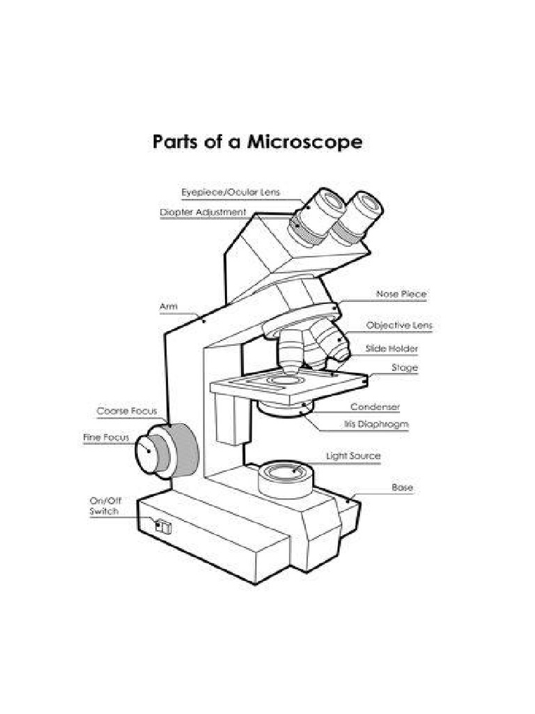 MICROSCOPE | PDF