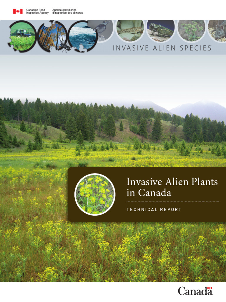 Invasive Alien Plants in Canada: Technical Report | PDF | Invasive ...