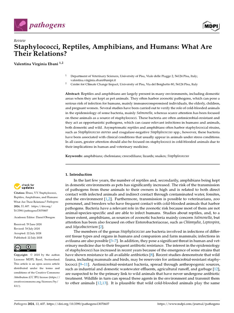 Pathogens 13 00607 v2 | PDF | Staphylococcus | Staphylococcus Aureus