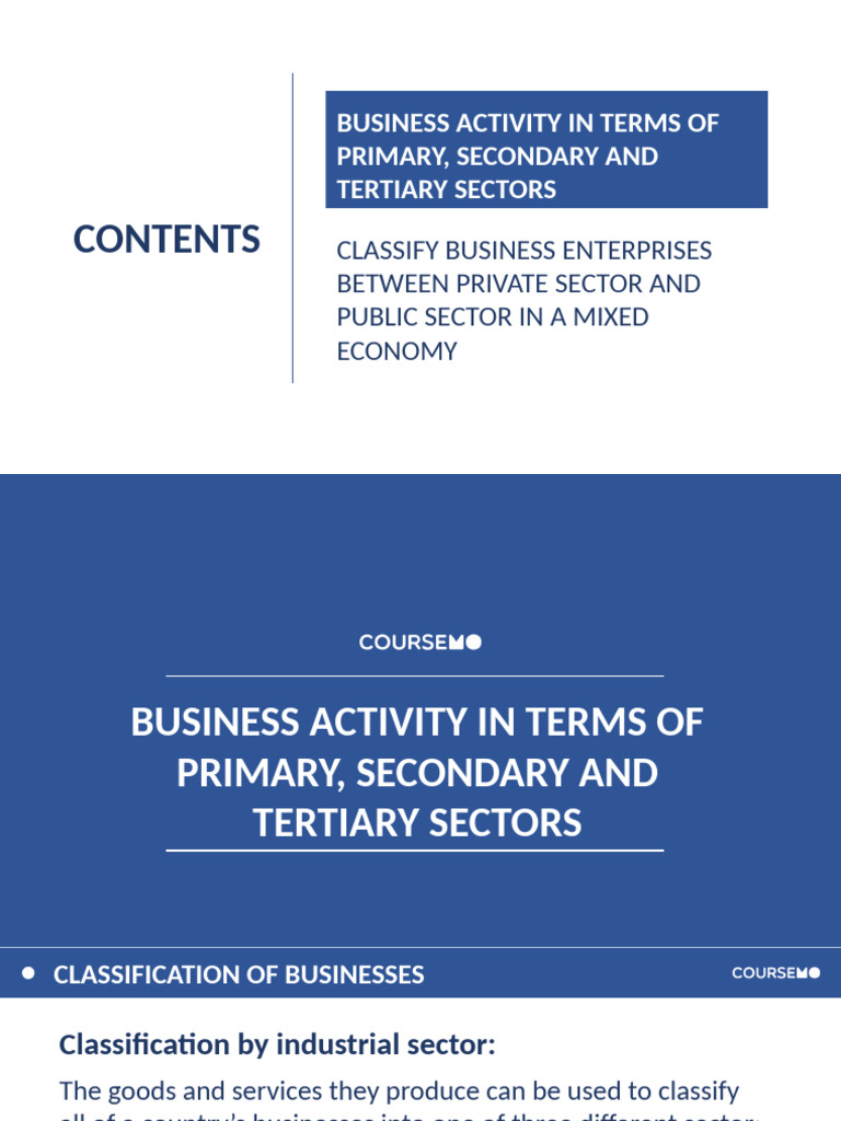 1.2 Classification of businesses | PDF | Tertiary Sector Of The Economy ...