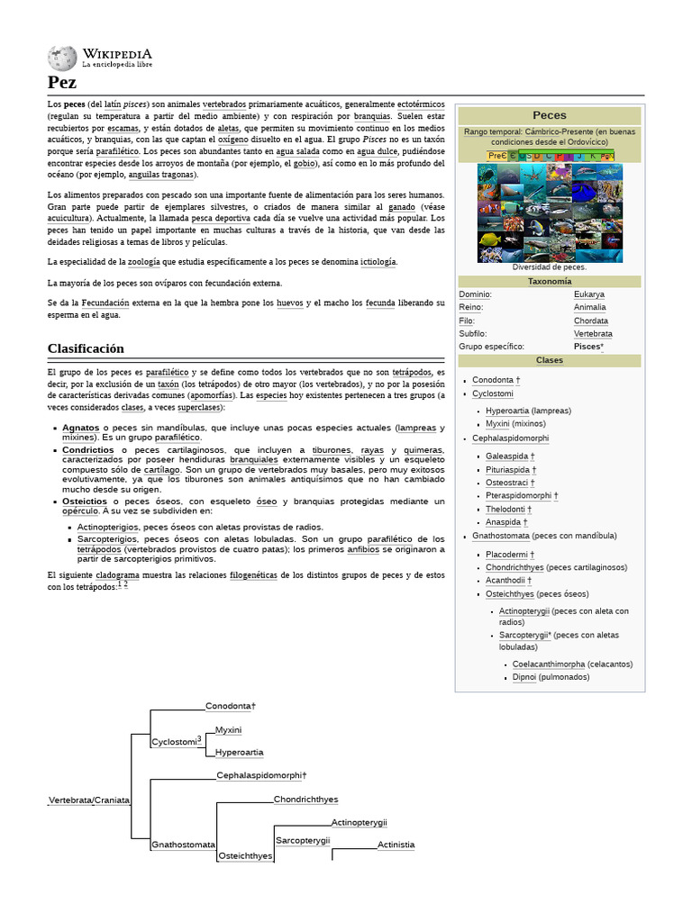 Clasificación: Pisces | PDF | Pescado | Corazón