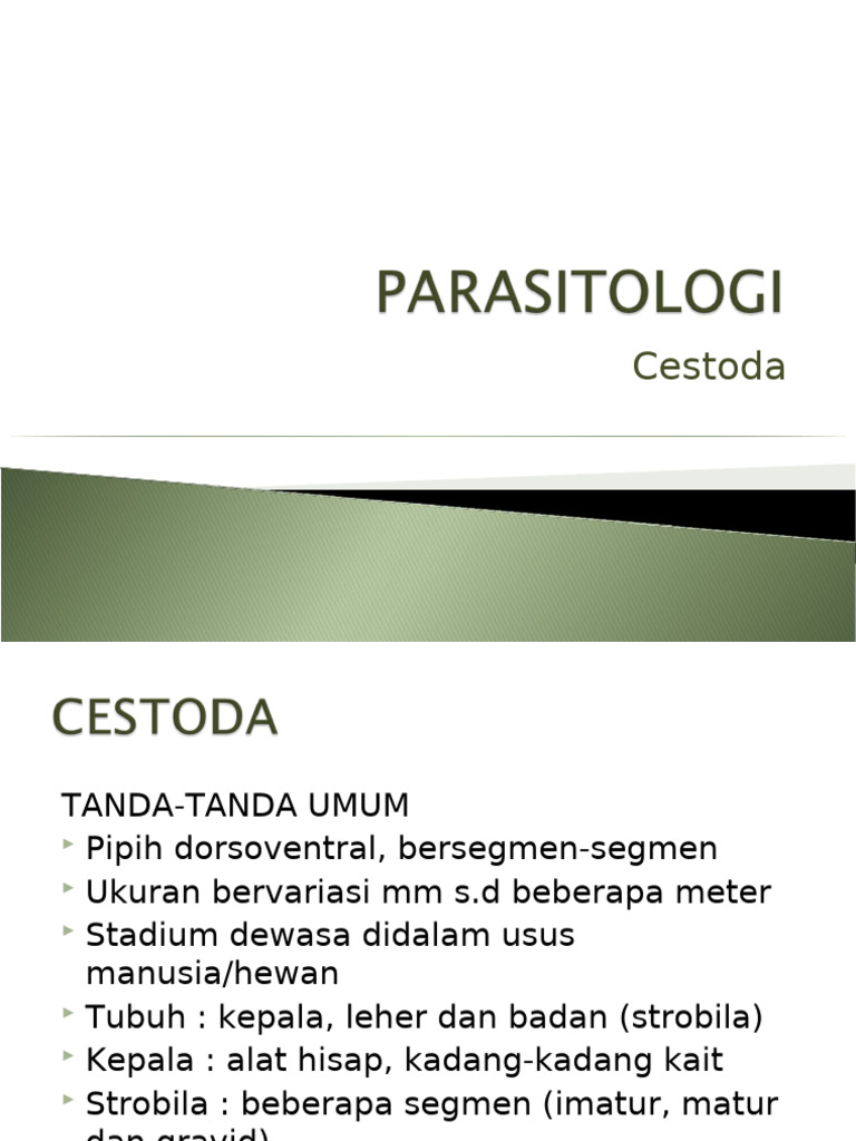 Cestoda: Penyakit, Gejala, dan Pengobatan | PDF