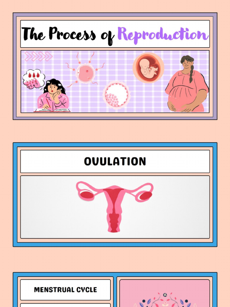 g2 - Process of Reproduction 2 | PDF