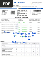 Hepatitis B Test Results Report | PDF | Hepatitis B | Viral Diseases