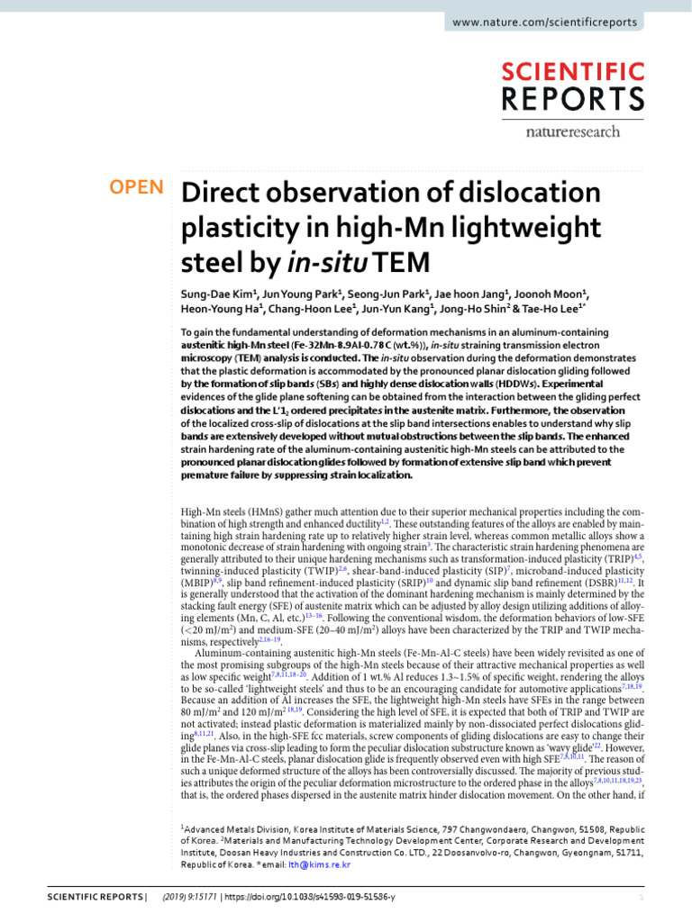 Direct Observation of Dislocation Plasticity in High-Mn Lightweight ...