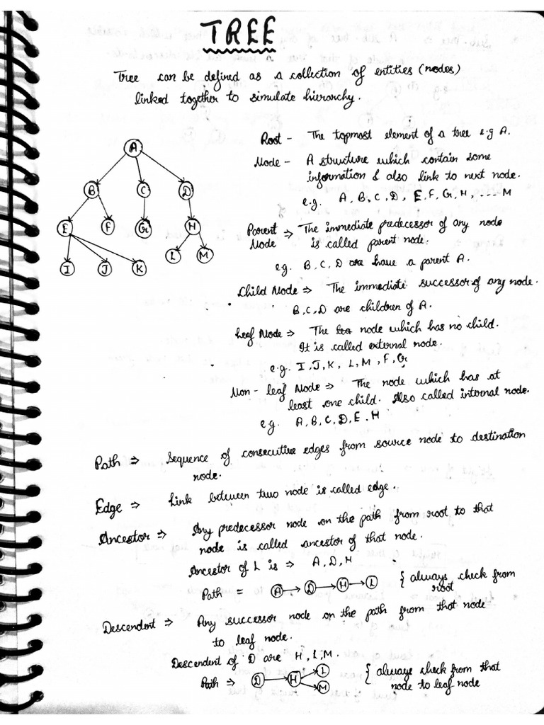DS Unit 4 - Trees | PDF