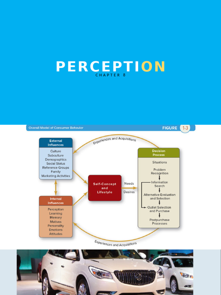 Right Brain's Role in Perception | PDF | Perception | Attention