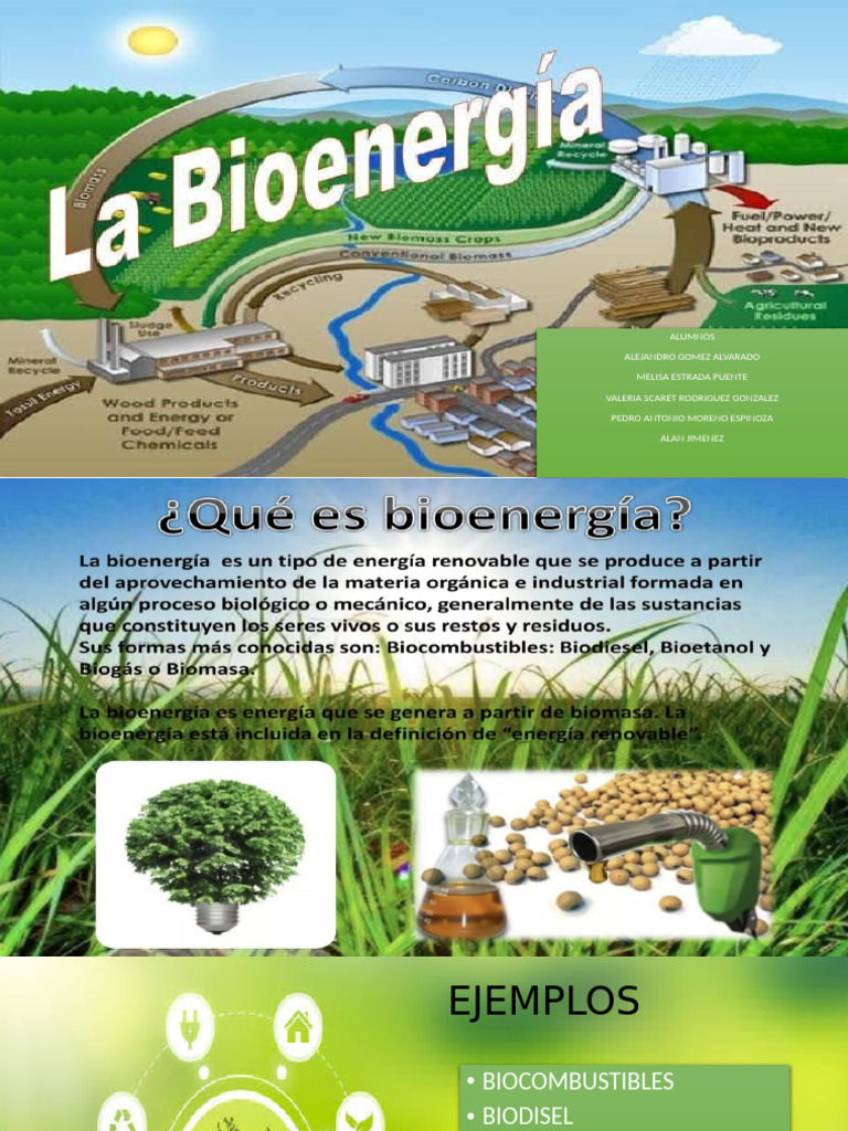 Bio Energia | PDF | Bioenergía | Recursos energéticos