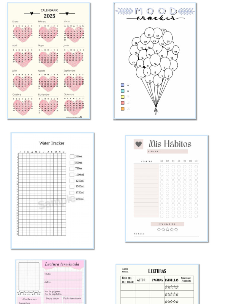 Boullet Journal | PDF