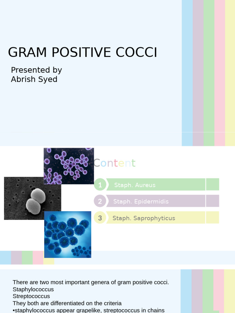 GRAM POSITIVE C-WPS Office | PDF | Staphylococcus Aureus | Staphylococcus