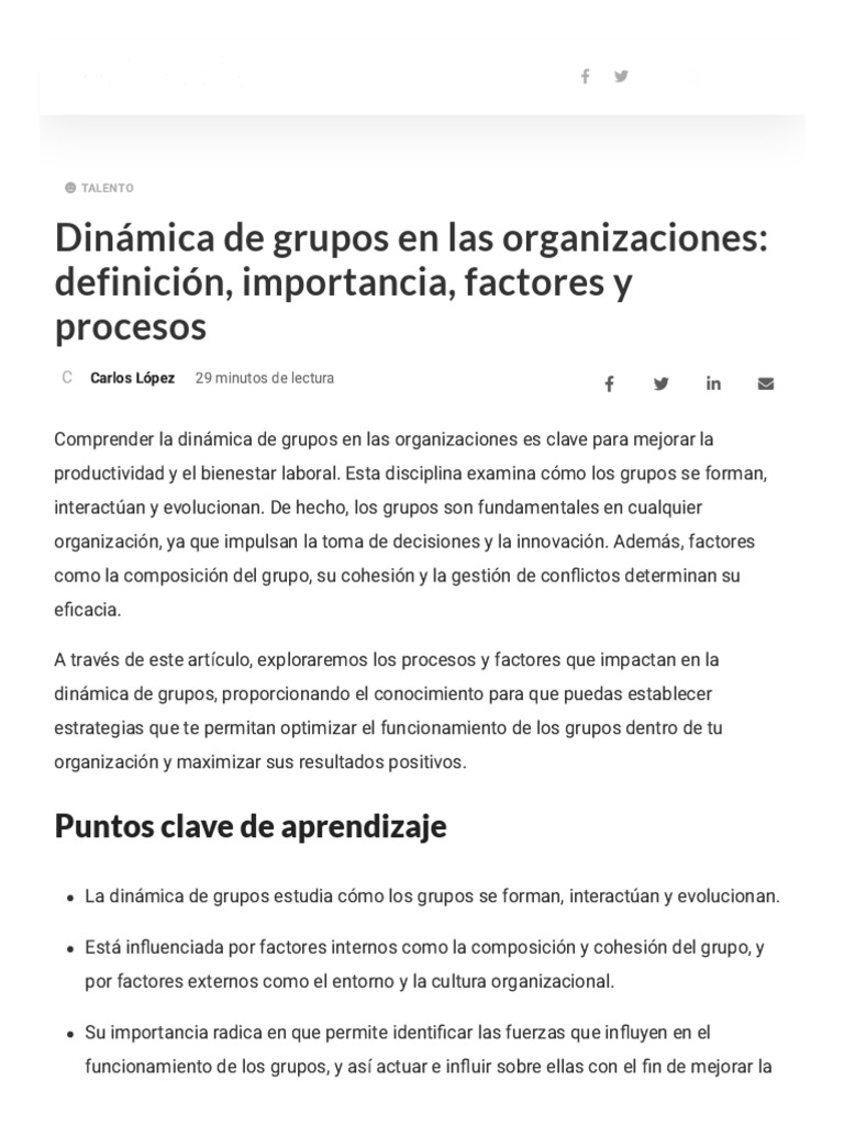 Dinámica de Grupos en Organizaciones | PDF | Liderazgo | Poder (social ...