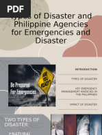 The Philippine Disaster and Risk Profile | PDF | Natural Disasters | Flood