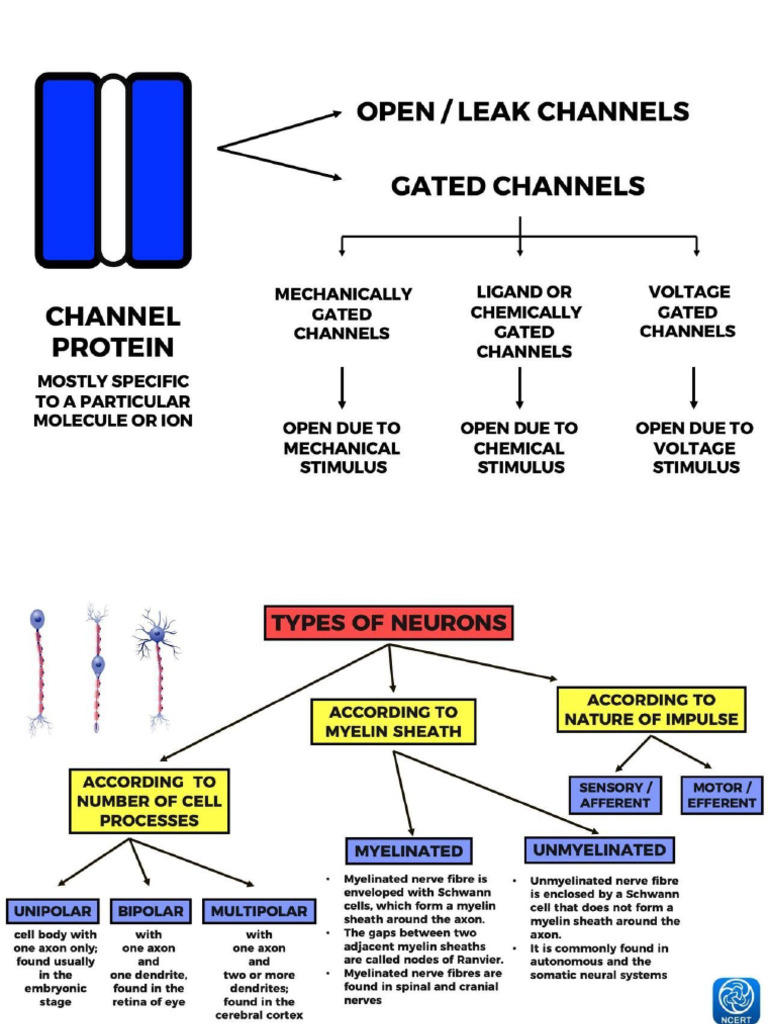 Bio Gated | PDF