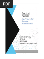 PDF Document