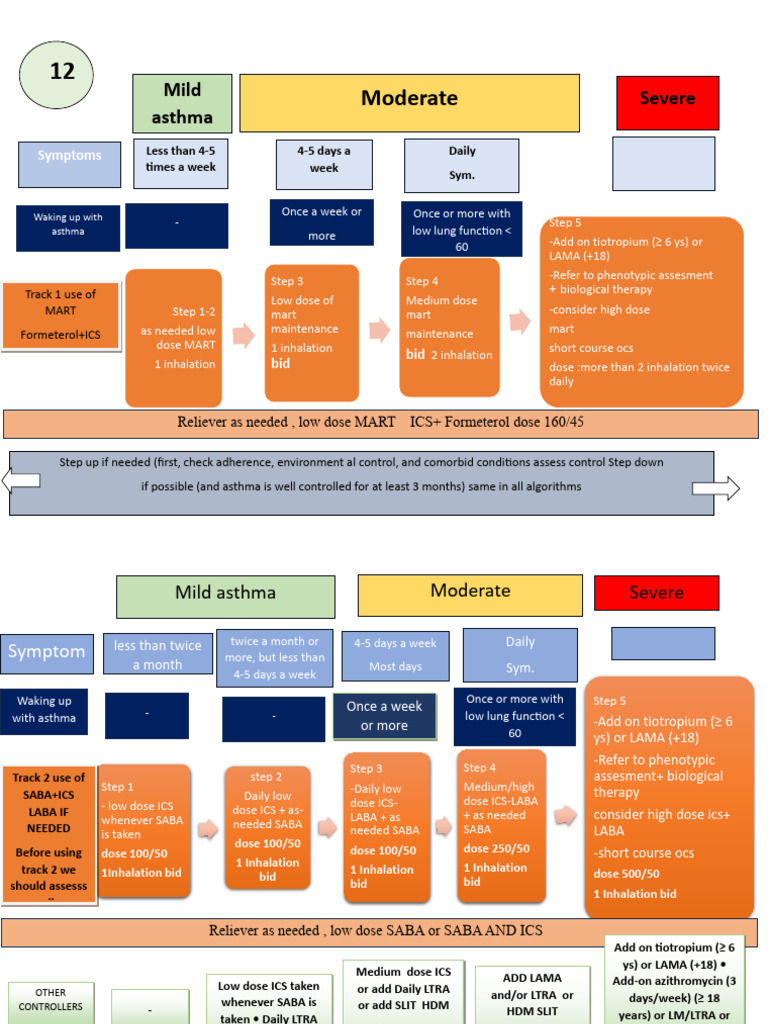 Asthma Treatment and Management Algorithm | PDF | Asthma | Medicine