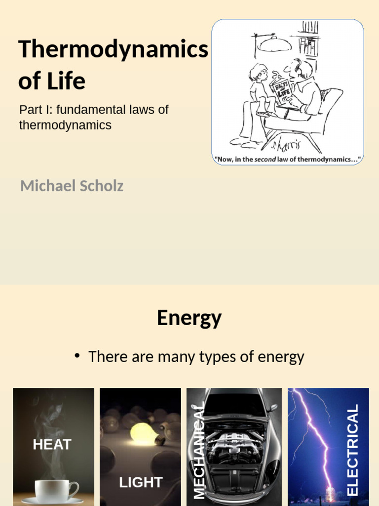 Thermodynamics and Energy in Life | PDF | Gibbs Free Energy | Redox